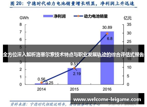 全方位深入解析洛塞尔索技术特点与职业发展轨迹的综合评估式报告 全方位深入解析洛塞尔索技术特点与职业发展轨迹的综合评估式报告