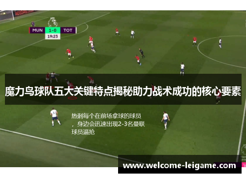 魔力鸟球队五大关键特点揭秘助力战术成功的核心要素 魔力鸟球队五大关键特点揭秘助力战术成功的核心要素